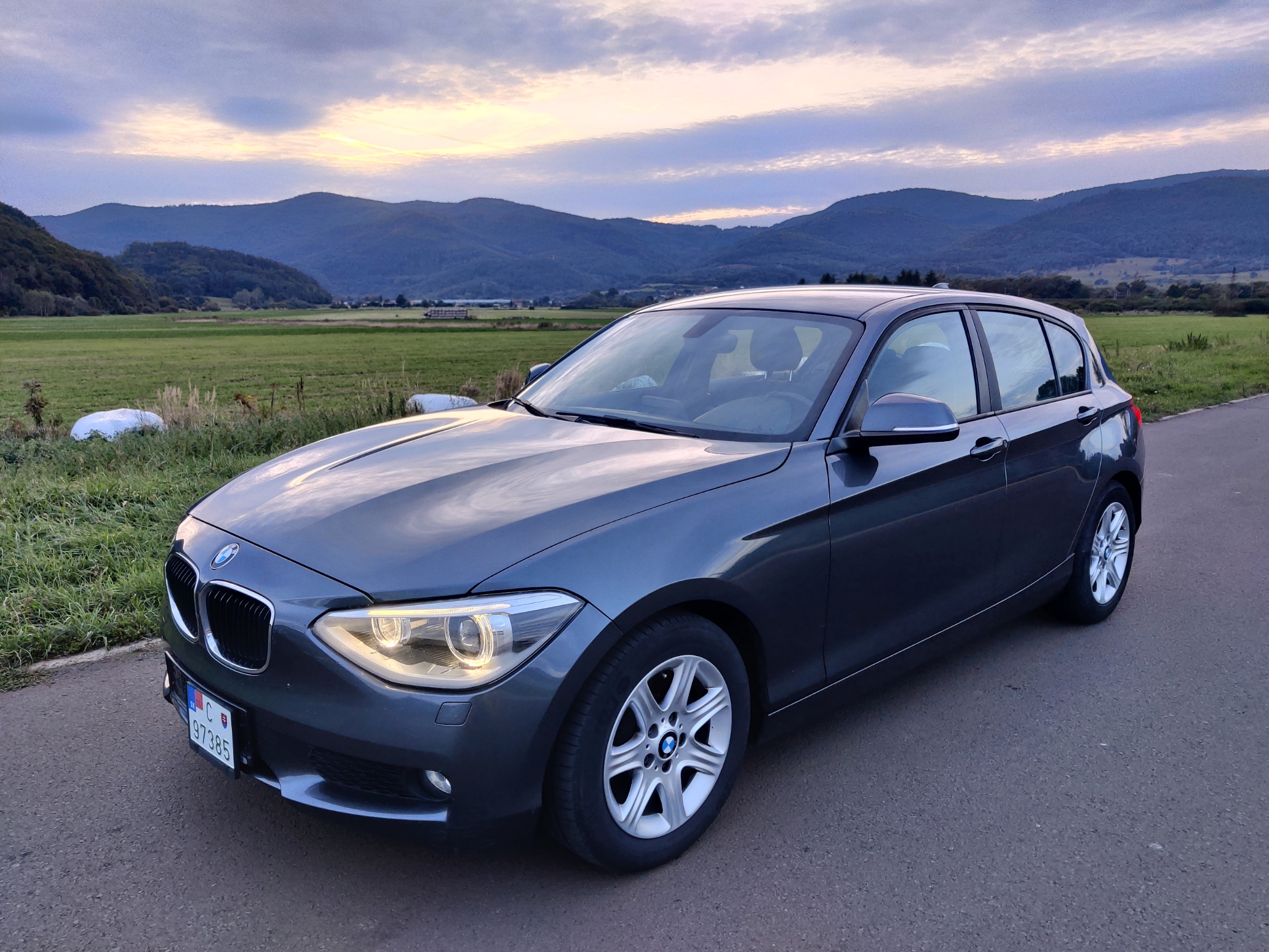 BMW rad 1 116i F20