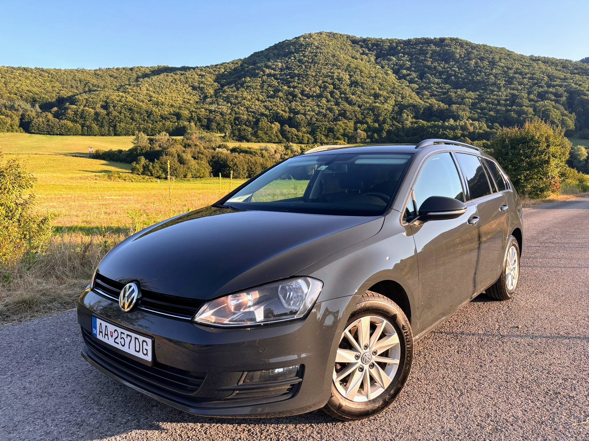 Volkswagen Golf 7 variant 1.6 TDI bluemotion