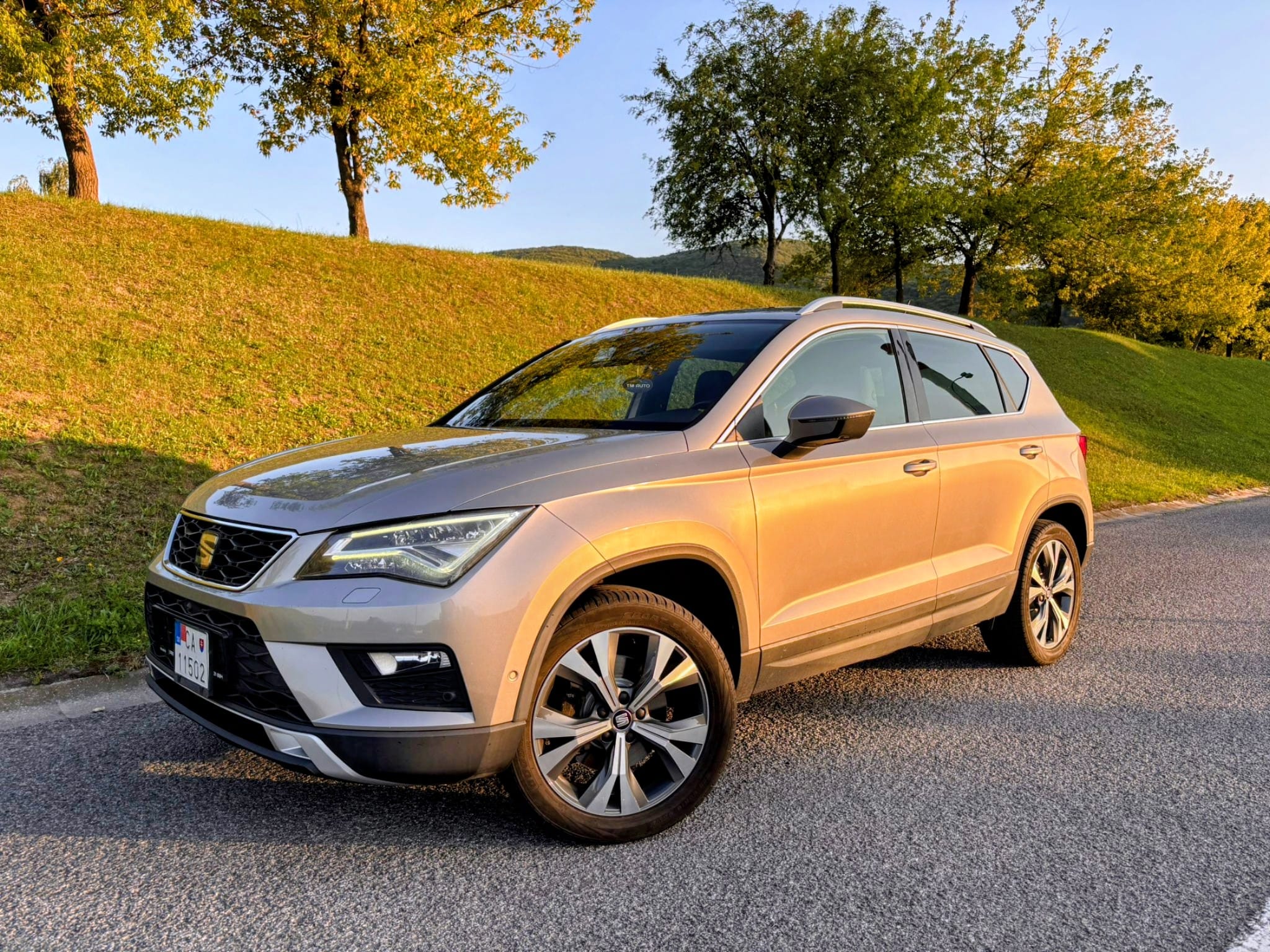 Seat Ateca 2.0 TDI CR Xcellence 4Drive DSG